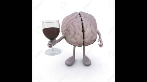 Episode 90- Sommelier Brain Study, What To Watch For In Wine, French Oak