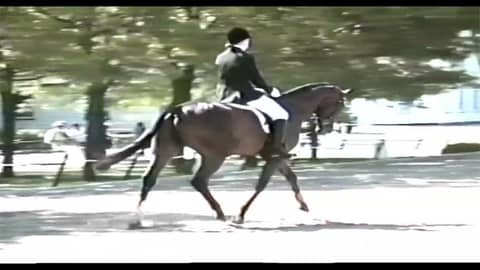 Emily & Alex NAYRC Dressage