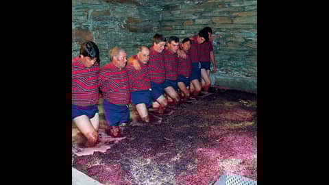 Episode 108-Foot Stomping, Wine Scholar Guild, Better Taster According To Scientists, Wine In Space