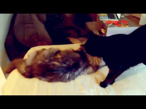 Client Love for Rachel Augusta