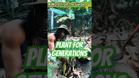 Planting Trees That Feed Generations 🌱 | A Word From The Garden