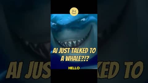 AI Just Had a Conversation With a Whale #podcast #ainews #sciencehumor