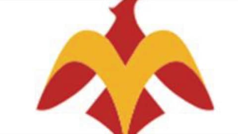 Episode 14 – Phoenix Concussion Recovery (Chronic Pain, Part 1/3) Episode 14 – Phoenix Concussion Recovery (Chronic Pain, Part 1/3)