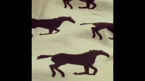 Ep.1 -- Meet your hosts!