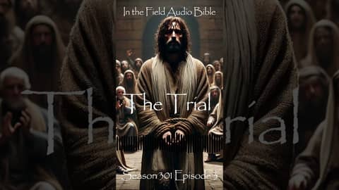 The Trial of Innocence: Jesus Before the Sanhedrin