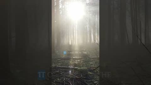 WATCH THIS When Life's Tasks Feel Too Heavy #God #Faith WATCH THIS When Life's Tasks Feel Too Heavy #God #Faith