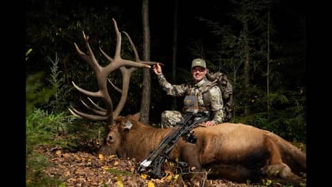 Pennsylvania Elk Hunt with Greegg Ritz Huntmasters host