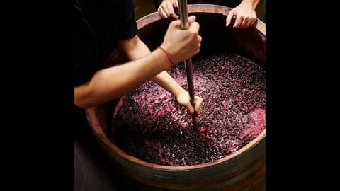 Episode 227-Zero Zero Wines, Vermouth