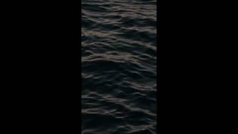 THRIVEHOOD Podcast - New Episode