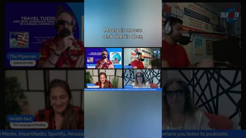 Unraveling the Mystery of Moose Groupings: It's a Herd!