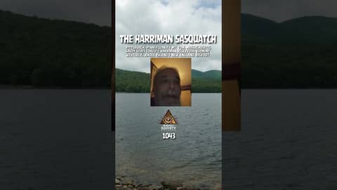 Some stories don’t stay in one place . From the wooded neighborhoods of Pittsburgh to the deep