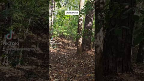 Take Inventory#beautifulones #peace #love #perspective #theknowingplacepodcast