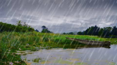 Rain Noise + Soothing Water Sounds for Sleep and Relaxation Rain Noise + Soothing Water Sounds for Sleep and Relaxation