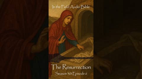 From the Tomb to the Testimony: Encounters with the Risen Christ