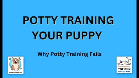 Part 3 - Why Potty Training Fails