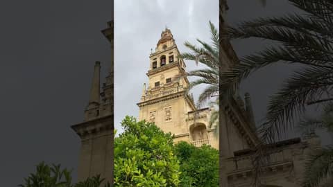 🇪🇸Watering the Orange Trees - Cordoba, Spain 🇪🇸 🇪🇸Watering the Orange Trees - Cordoba, Spain 🇪🇸