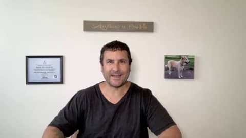 My Dog Does Not Listen To Me