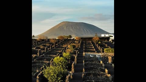 Episode 42-Volcanic Wine, Jammy Wine, Wine With Food, Sparkling Cocktails