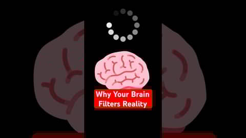 Why Your Brain Filters Reality #neuroscience