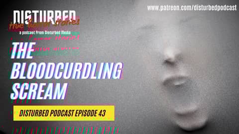 3 Real Horrifying Stories - The Bloodcurdling Scream