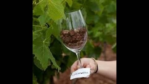 Episode 60-Soil And Wine, Family Wine Business, Wine Myths