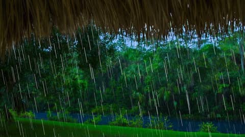 Rain Sounds to Sleep to Tonight! | White Noise for Sleeping