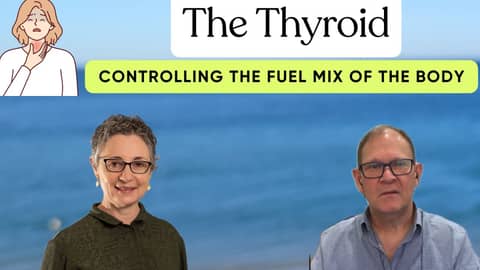 Unlocking the Mysteries of Thyroid Health with Dr. Melissa Bochner: What could possibly occur? Unlocking the Mysteries of Thyroid Health with Dr. Melissa Bochner: What could possibly occur?
