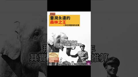 FORMOSA FILES 中文版 CH41-臺灣永遠的森林之王—林旺與臺灣的故事 #formosafiles #podcast #臺灣 #歷史故事 #林旺 #孫立人 #shorts