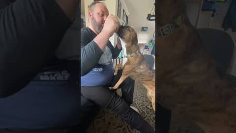 Darkness Radio’s Ziggy Starpup picks the 2022/23 Jaguars/Chargers AFC Wildcard Playoff game! #nfl