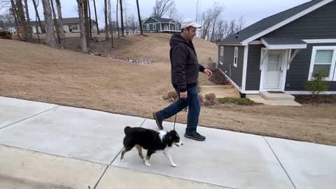 Leash Training Your Puppy