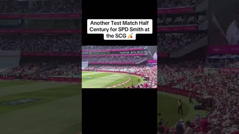 Another half century for Aussie legend Steve Smith against England at the SCG in the Ashes Test π Another half century for Aussie legend Steve Smith against England at the SCG in the Ashes Test π