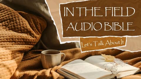 In the Field Audio Bible Updates