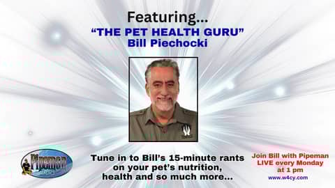 Rescue Pets Challenges and Risk Reversal Powerful Business Strategies