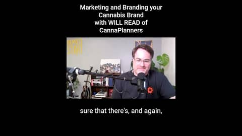 Find Your Why To Keep You On The Right Path