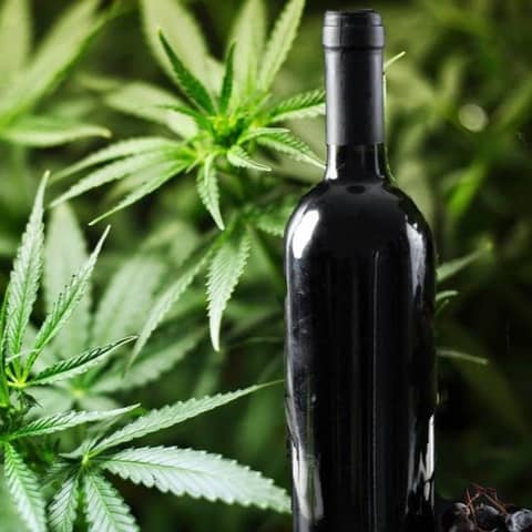 Natural Wine,Weed And Wine