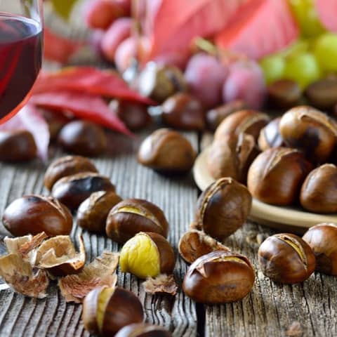 Episode 13- Nuts And Wine, Packing Bottles, Alcohol Levels, Balance And Structure