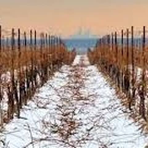 Episode 35-Cool Climate, Wine On Tap, Worst Food And Wine Pairings