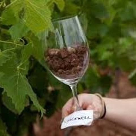Episode 60-Soil And Wine, Family Wine Business, Wine Myths