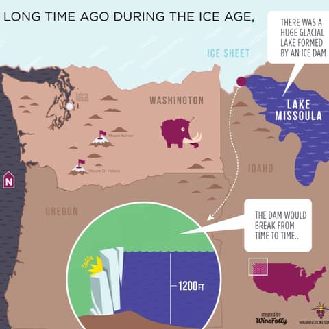 Episode 79-Floods Made WA Wine, No 17 Screaming Eagle, Wine Industry Connecting With Customers