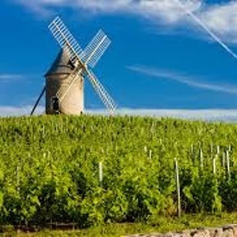 Episode 98-Kim Goes To France, German Pinot Noir