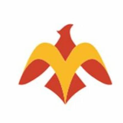 Episode 12 - Phoenix Concussion Recovery (3PD, Chronic Dizziness)