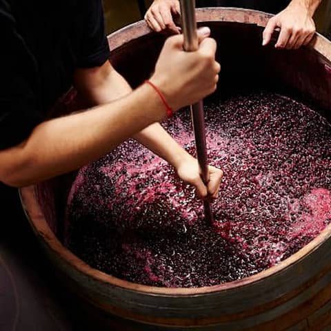 Episode 227-Zero Zero Wines, Vermouth