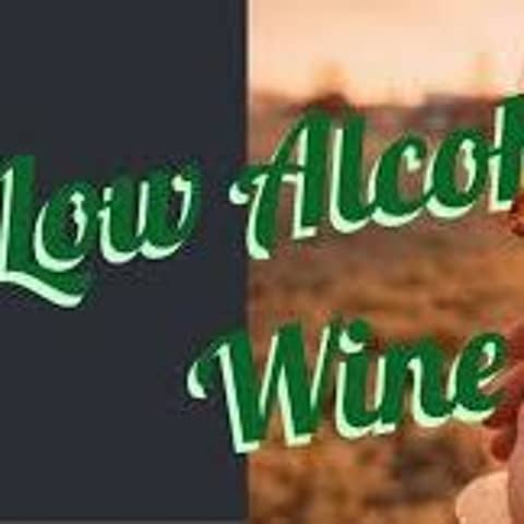 Episode 170-Low Alcohol VS Drink Better Understanding What Wine Experts Tell Us