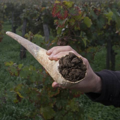 Episode 176-Manure Not Vegan, Chianti Rooster, Wine Serving Temps