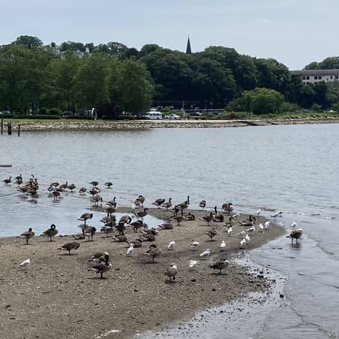 Expressions Of Gratitude