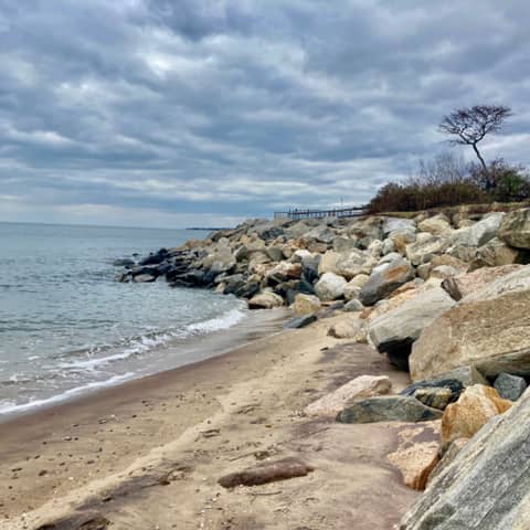 The Ever Present Need For Young Adults