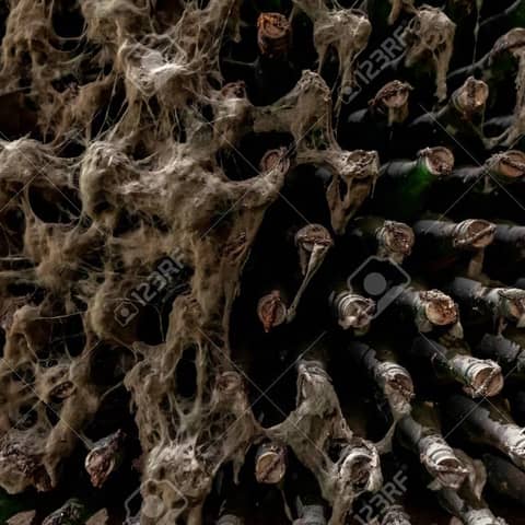 Episode 122-Wine Mold, Stocking Your Liquor/Wine Cabinet