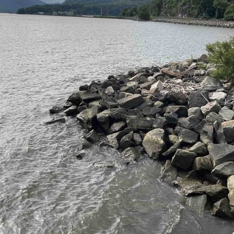 Psalm 119 Shaping Our Prayer