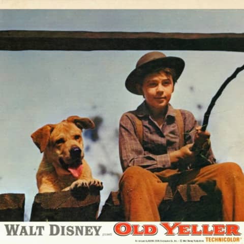 LoFi Top 5 - 39 - The Guy Cry Episode