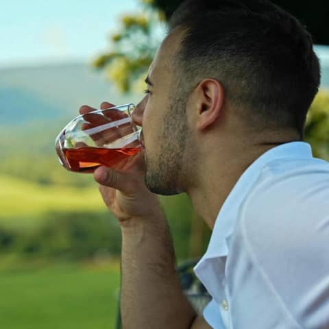 Vince Anter  V Is For Vino Interview Reviewing Season 4